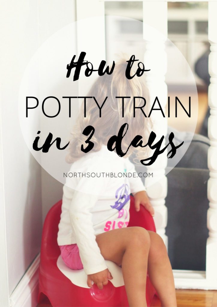 How to successfully potty train your toddler in three days. A step-by-step guide included, and tips and tricks that are guaranteed to work! Motherhood | Parenting | Toddlers | Potty Training | Tips | Potty Train | How to Potty Train | Pull-ups | Potty Training Books | What Age to Start Potty Training | Potty Training at Night | Babies | Raising Girls | Parenthood | Mommy Blogger | Potty Tips | Toddler Activities | Parenting Hacks |