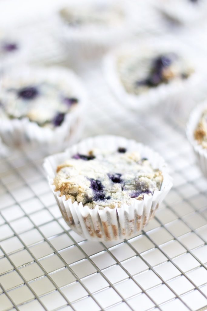 Blueberry and Walnut Breakfast Muffins (Vegan, Paleo, Gluten-Free)