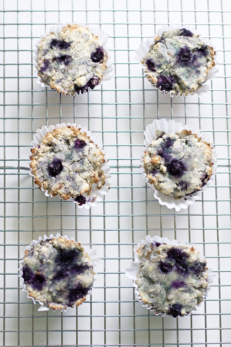 Blueberry and Walnut Breakfast Muffins (Vegan, Paleo, GlutenFree)