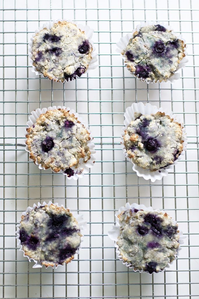 Blueberry and Walnut Breakfast Muffins (Vegan, Paleo, Gluten-Free)