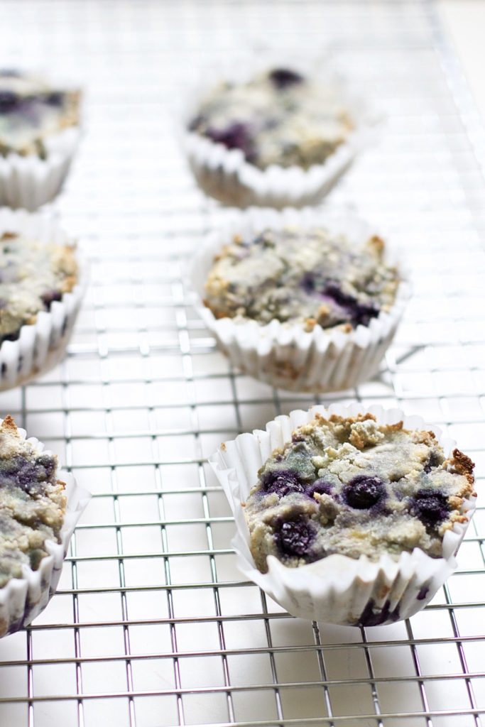 Blueberry and Walnut Breakfast Muffins (Vegan, Paleo, Gluten-Free)