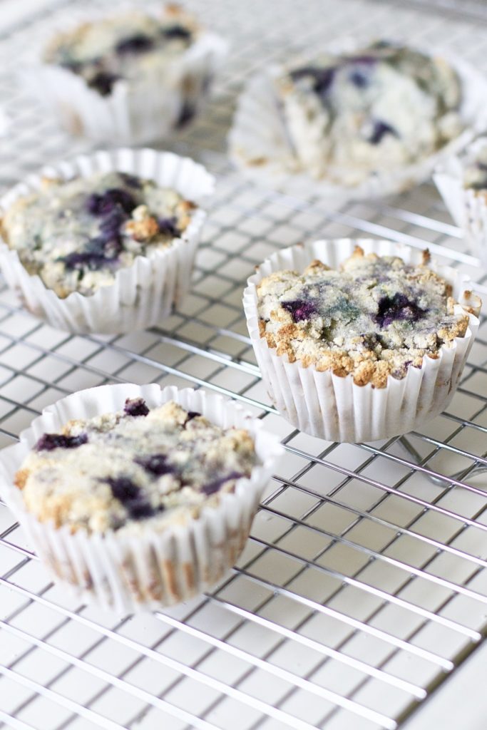 Blueberry and Walnut Breakfast Muffins (Vegan, Paleo, Gluten-Free)