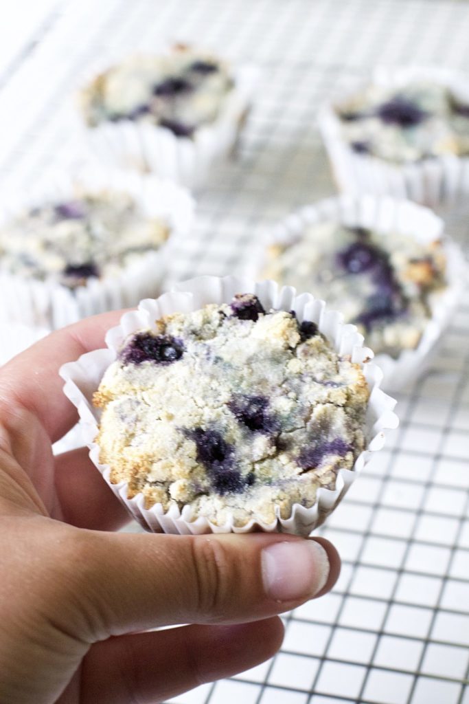 Blueberry and Walnut Breakfast Muffins (Vegan, Paleo, Gluten-Free)