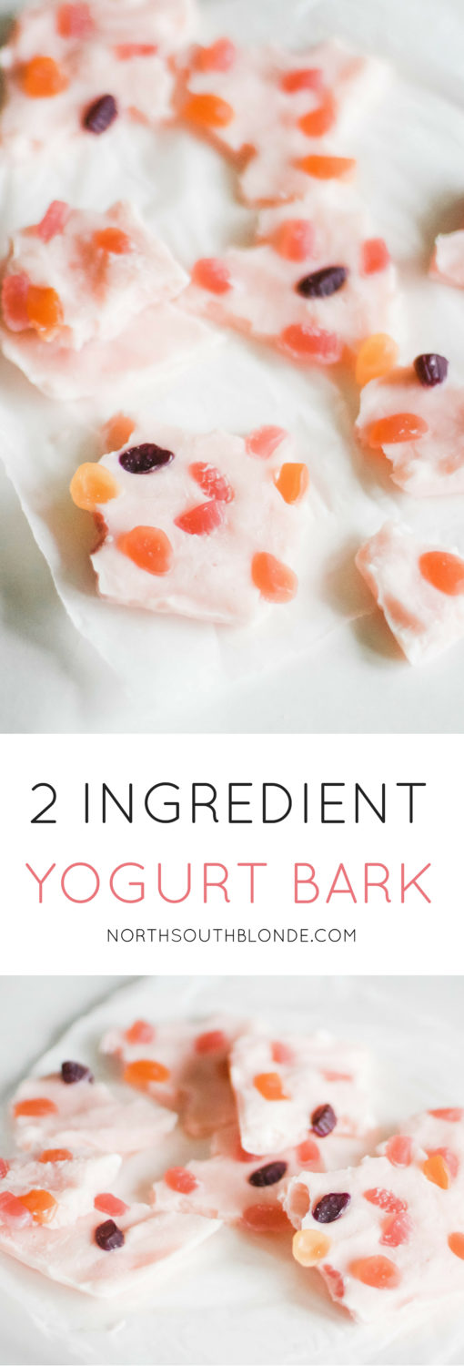 2 Ingredient Frozen Yogurt Bark After School Snacks for Kids