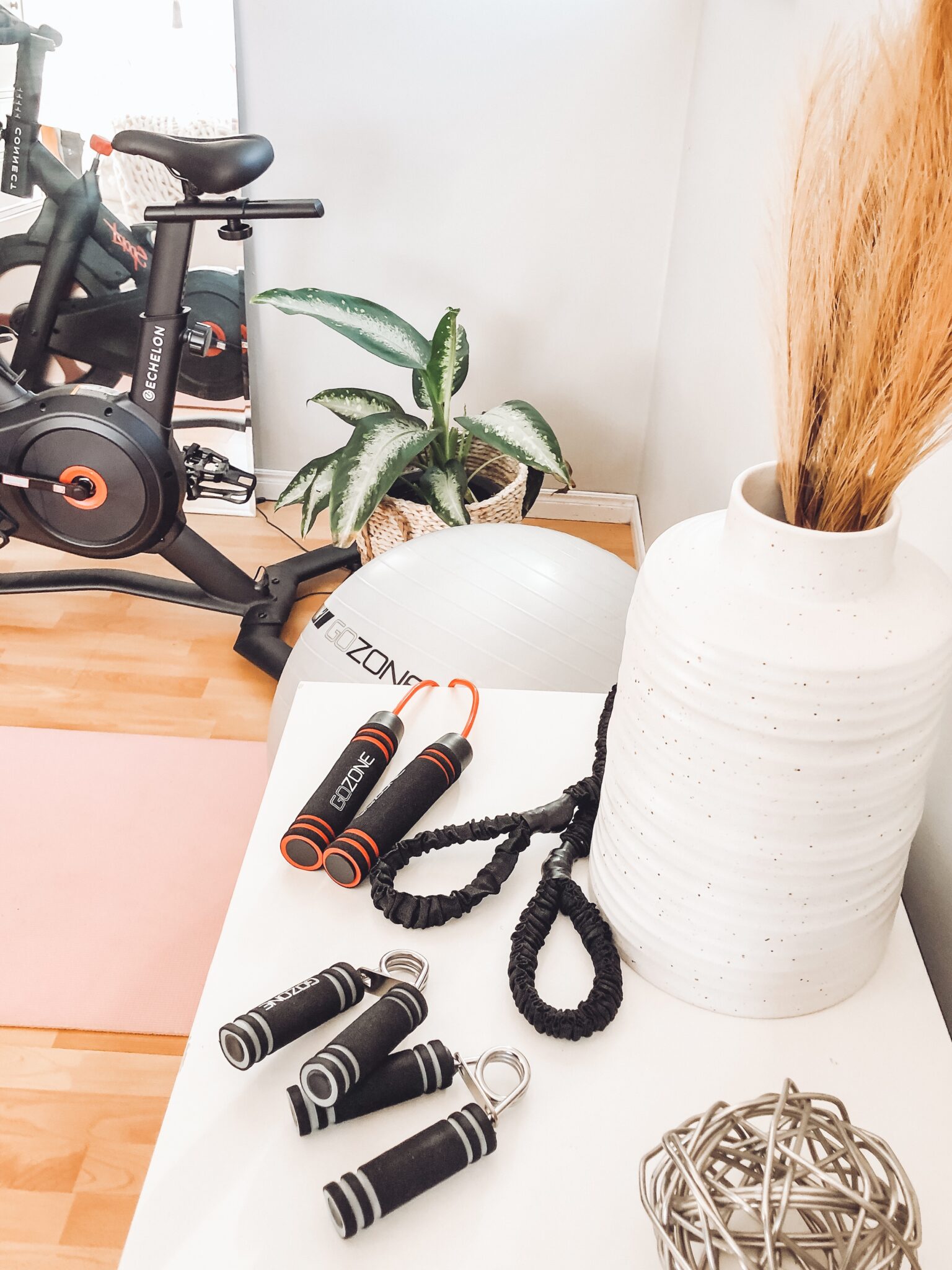 Home gym reveal, perfect for small spaces! Affordable fitness equipment and decor must haves inspiring you to reach your health goals! exercise equipment | fitness | home gym | home gym ideas | home gym reveal | peloton dupe | peloton alternative | small spaces | diy | home decor | gym decor | echelon bike | exercise bike | home workout | amazon | walmart | healthy living | weight loss | small gym space | spin bike | gozone 