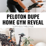 best peloton dupe