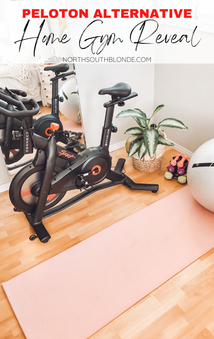 Home Gym Reveal - Peloton Dupe Alternative and Decor for Small Spaces