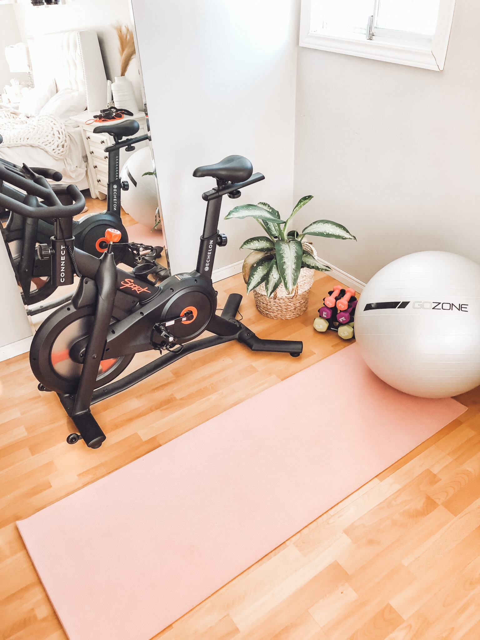 Home gym reveal, perfect for small spaces! Affordable fitness equipment and decor must haves inspiring you to reach your health goals! exercise equipment | fitness | home gym | home gym ideas | home gym reveal | peloton dupe | peloton alternative | small spaces | diy | home decor | gym decor | echelon bike | exercise bike | home workout | amazon | walmart | healthy living | weight loss | small gym space | spin bike | gozone 
