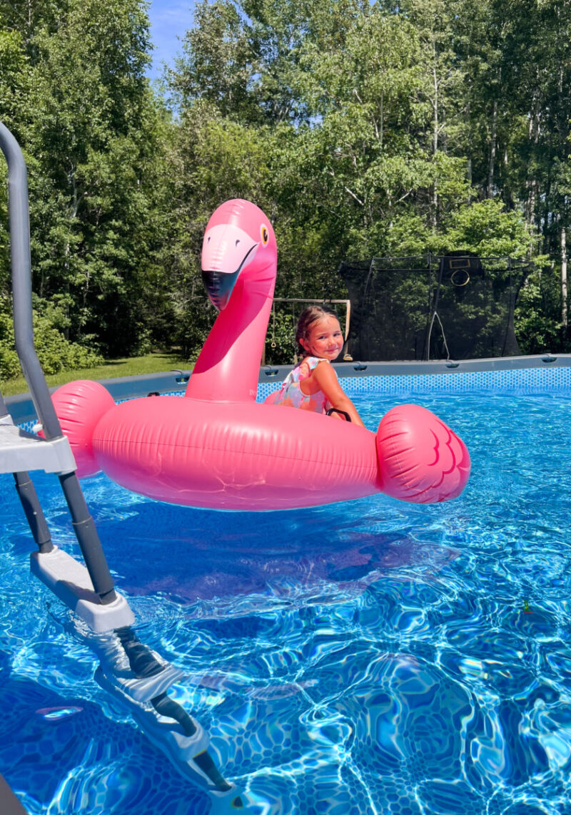 Giant flamingo pool float in our 24ft Intex Ultra XTR above ground pool